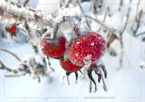 Dreaming of a red Christmas