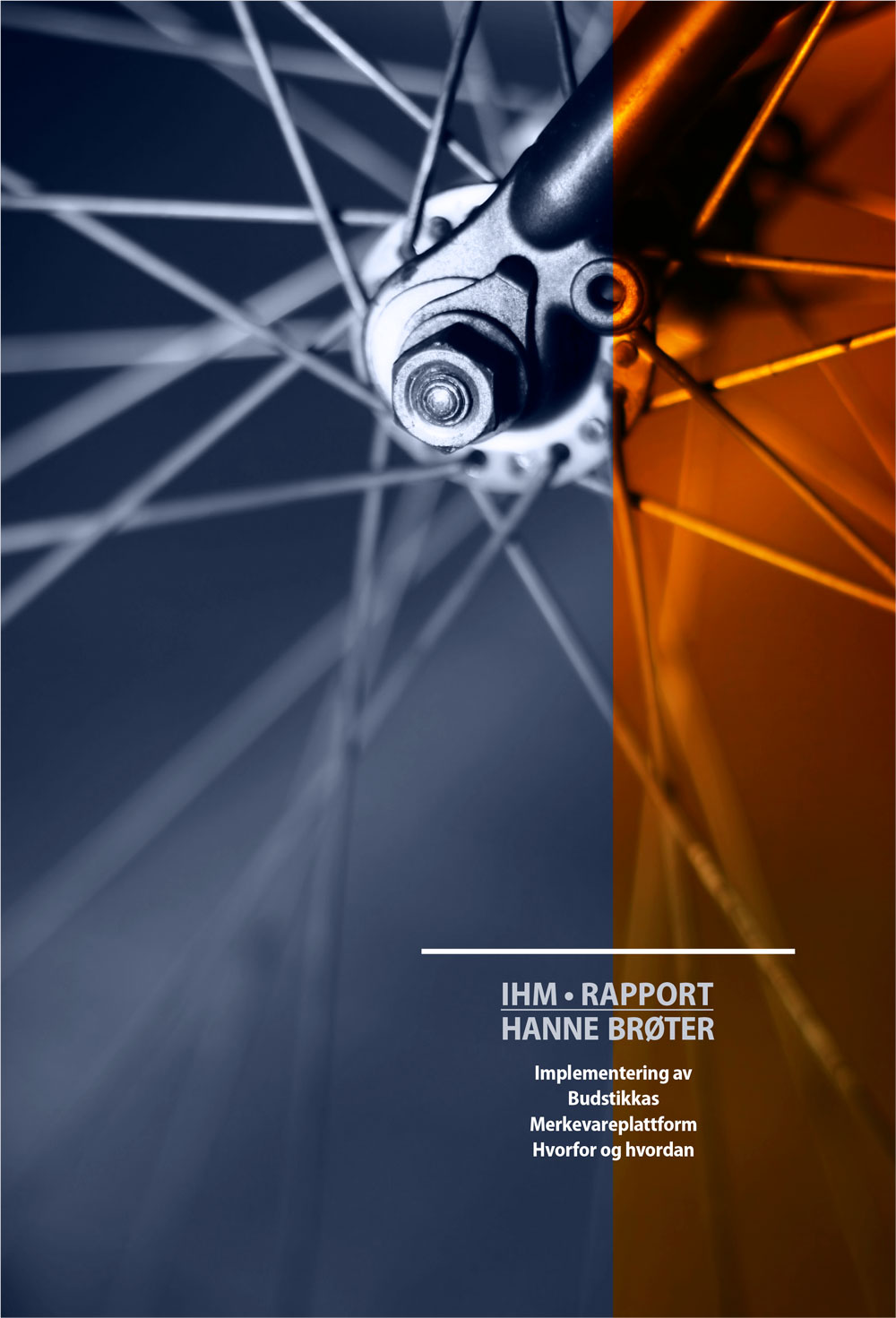 Hanne-Report-Cover